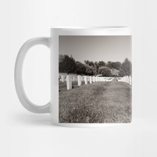 Arlington USA- October 26 2014; Arlington National Cemetery historic graveyard of national servicemen and heroes in Virginia Mug